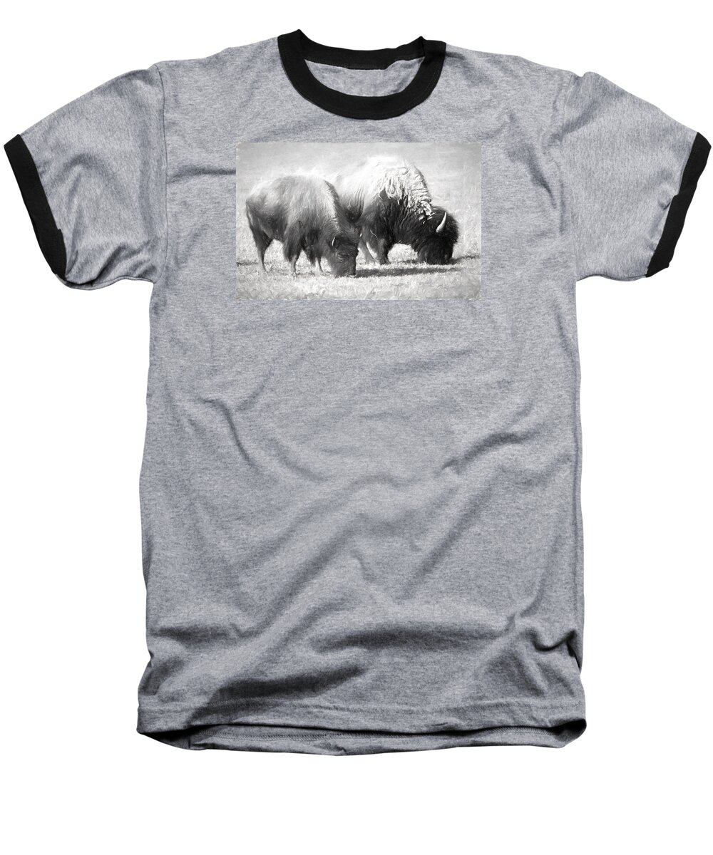 Art. Artistic Baseball T-Shirt featuring the photograph American Bison in Charcoal by Linda Phelps