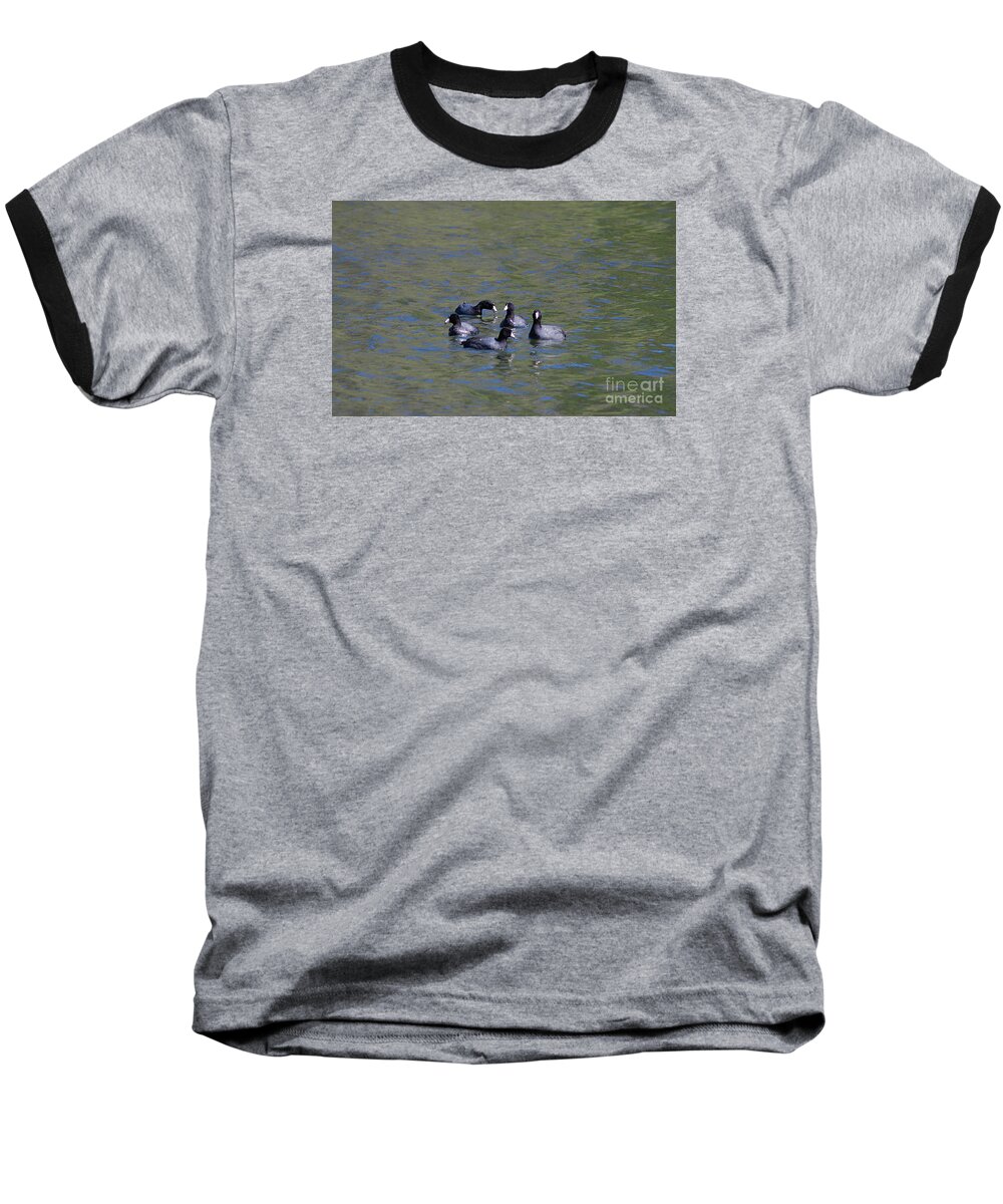 Spring Baseball T-Shirt featuring the photograph American Coots 20120405_278a by Tina Hopkins