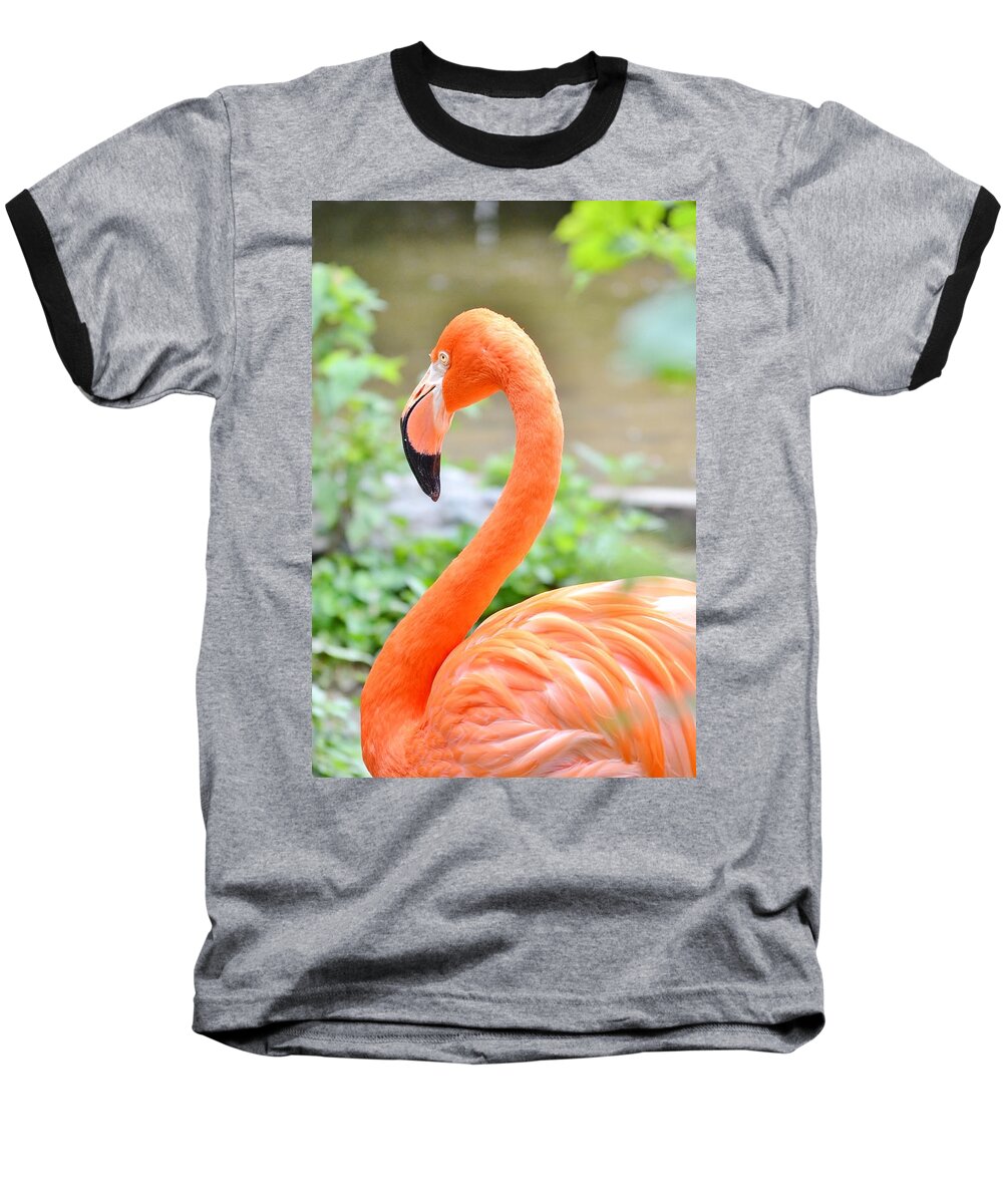 American Flamingo Baseball T-Shirt featuring the photograph American Flamingo by Kim Bemis