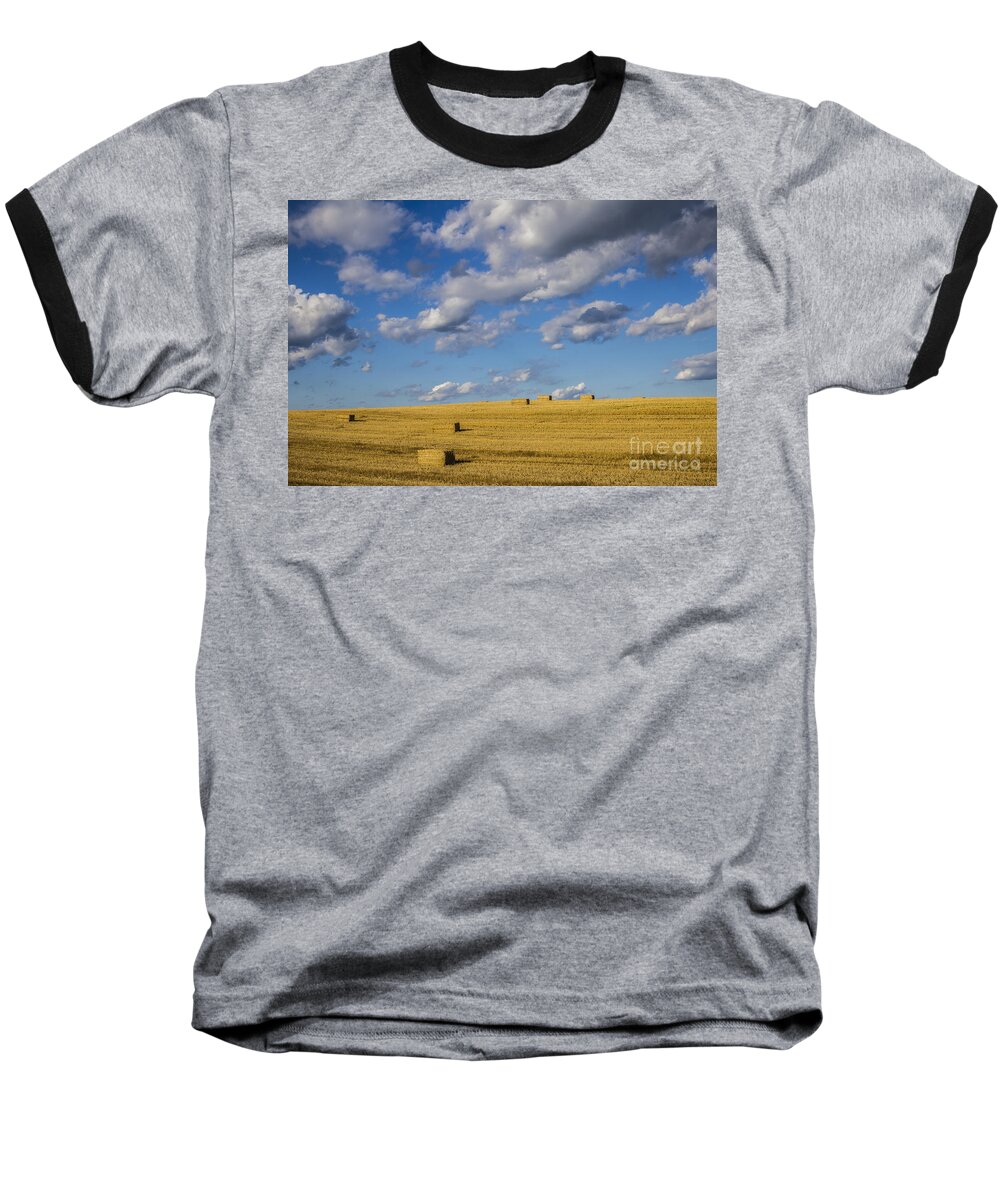 Country Baseball T-Shirt featuring the photograph American Gold by Joann Long