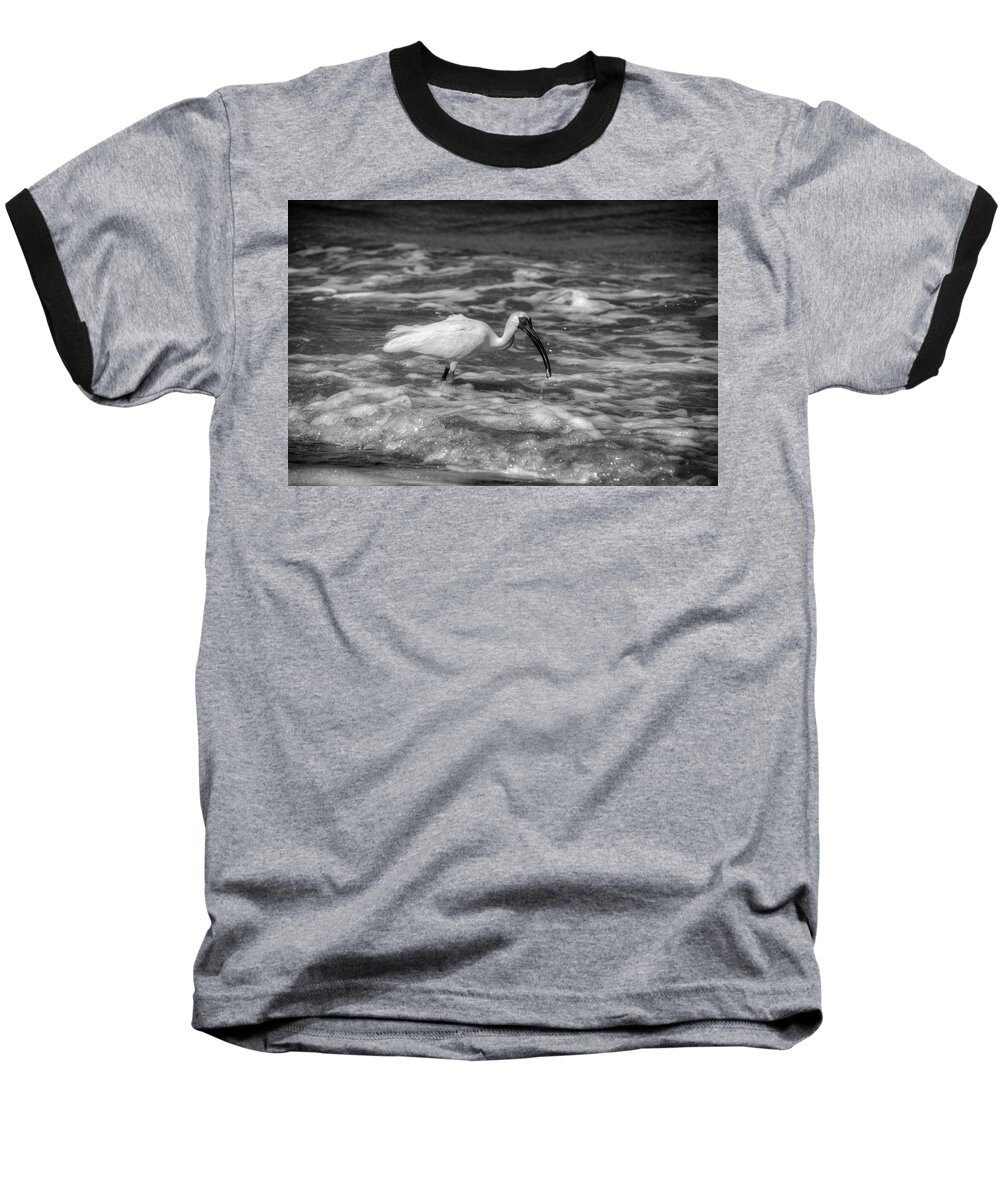 American White Ibis Baseball T-Shirt featuring the photograph American White Ibis in Black and White by Greg and Chrystal Mimbs