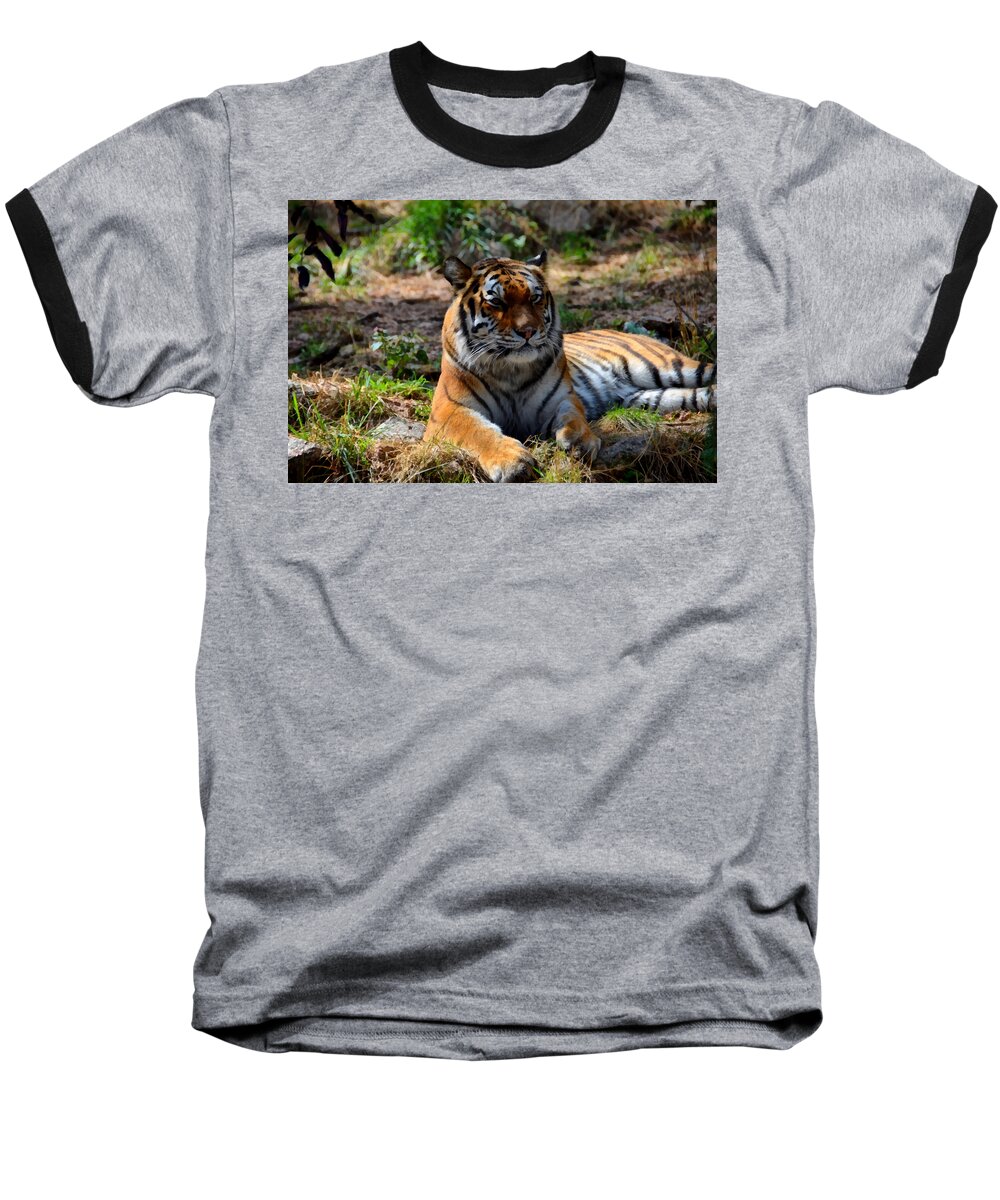 Amur Baseball T-Shirt featuring the mixed media Amur Tiger 10 by Angelina Tamez
