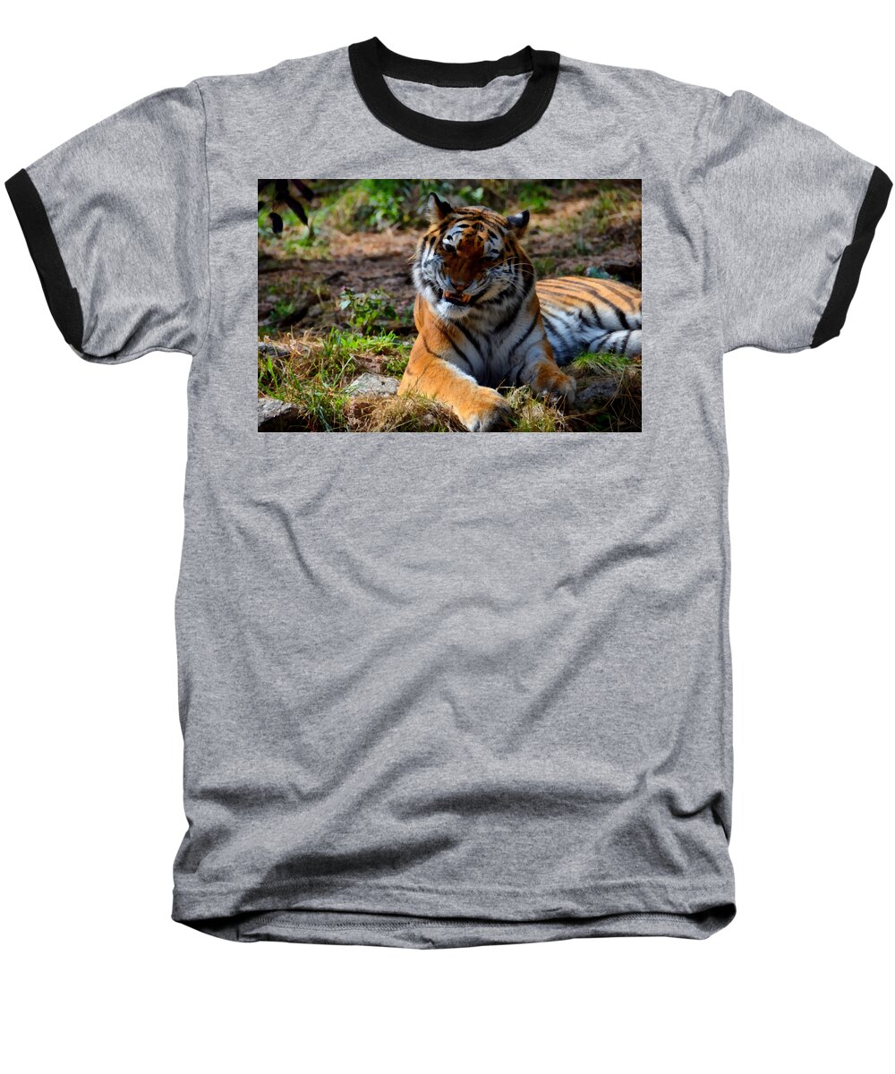 Amur Baseball T-Shirt featuring the mixed media Amur Tiger 4 by Angelina Tamez