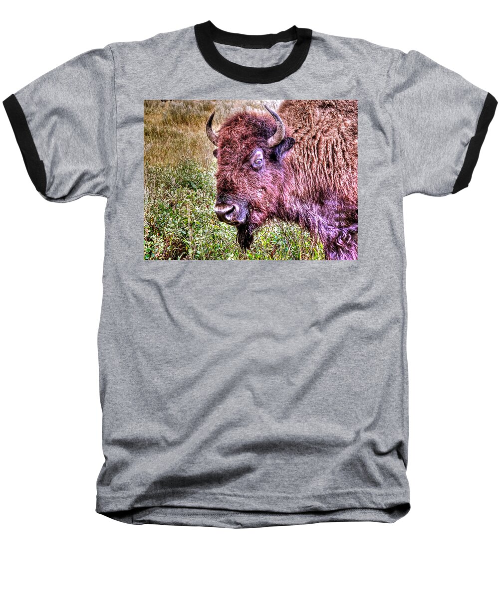 Theodore Roosevelt National Park Baseball T-Shirt featuring the photograph An Astonished Bison by Don Mercer
