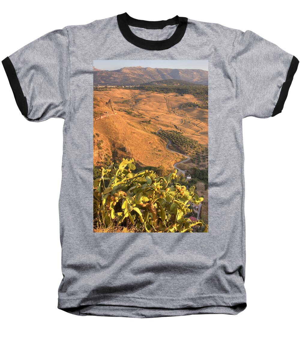 Cacti Baseball T-Shirt featuring the photograph Andalucian Golden Valley by Ian Middleton