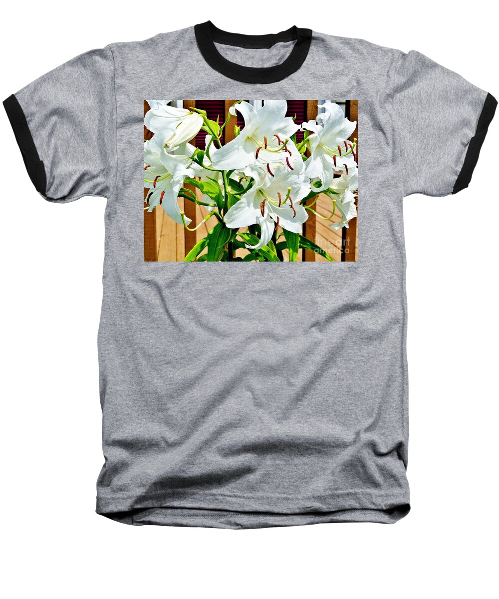 Photo Baseball T-Shirt featuring the photograph Angels Wings by Marsha Heiken