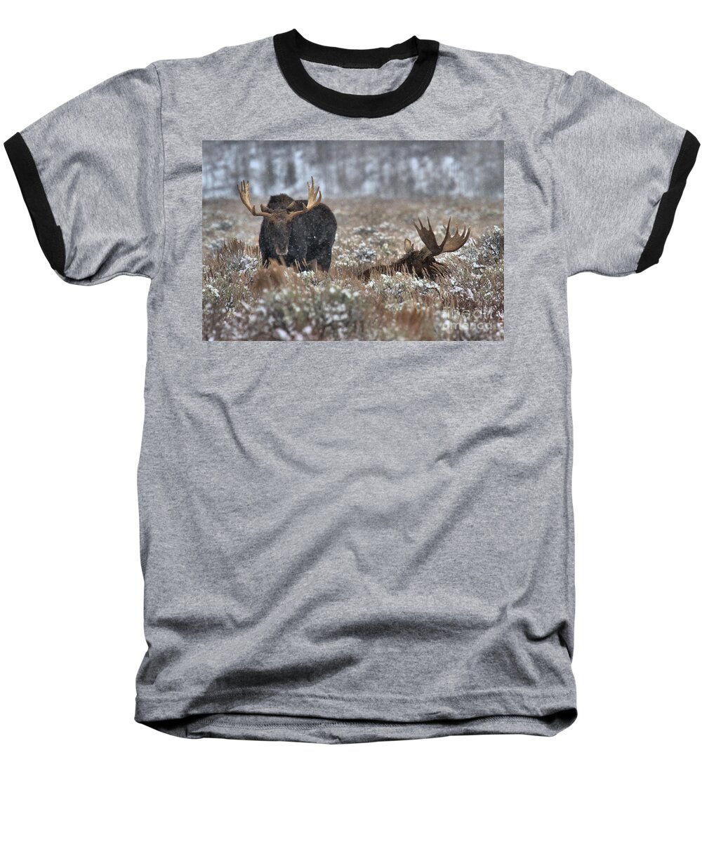  Baseball T-Shirt featuring the photograph Antlers In The Brush by Adam Jewell