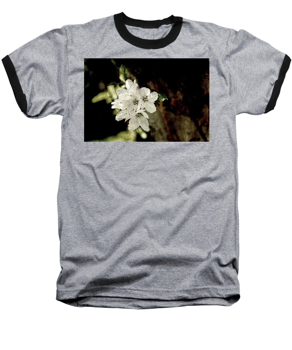 Apple Blossom Baseball T-Shirt featuring the photograph Apple Blossom Paper by Sharon Popek