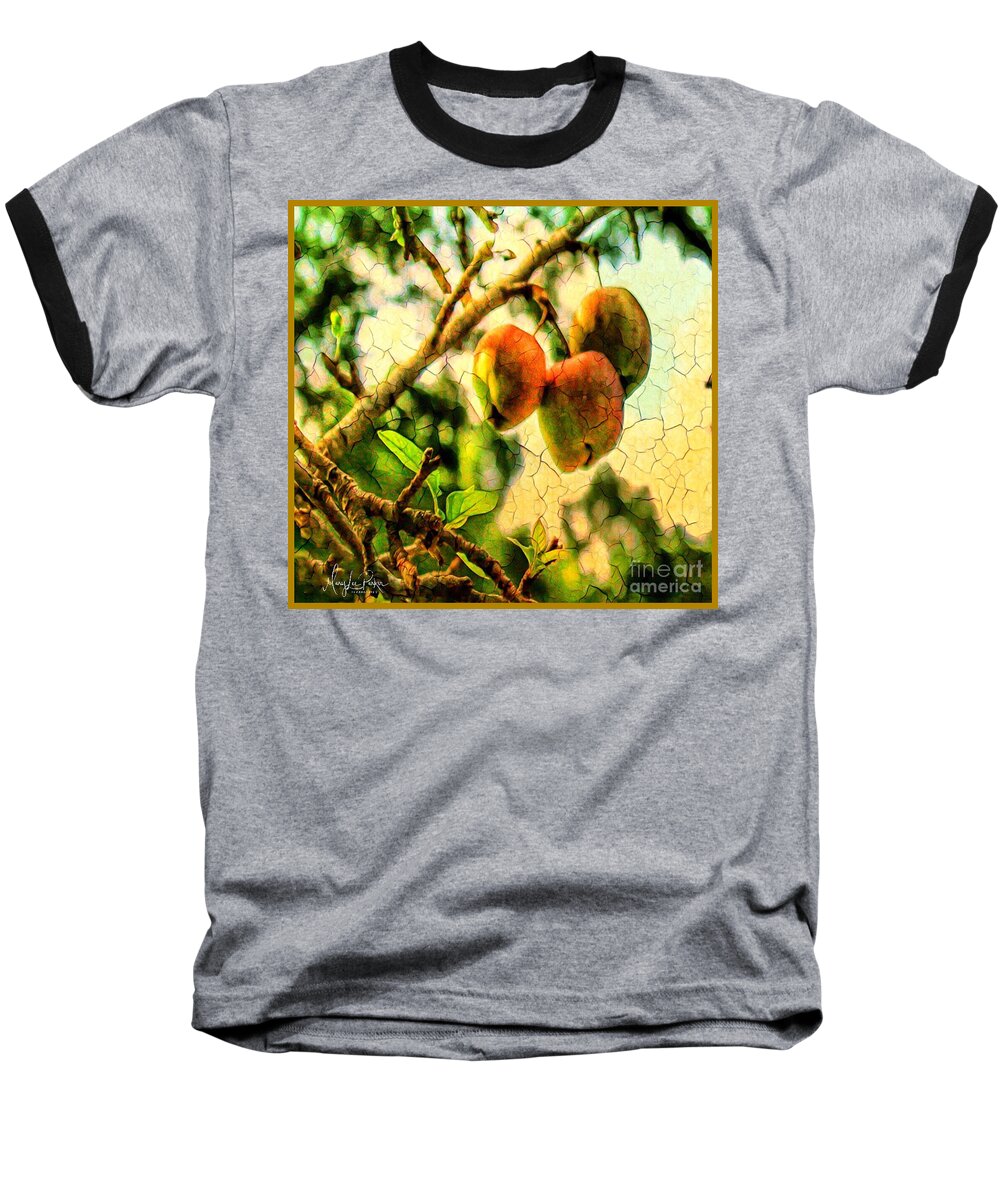 Mix Media Baseball T-Shirt featuring the mixed media Apple Season by MaryLee Parker