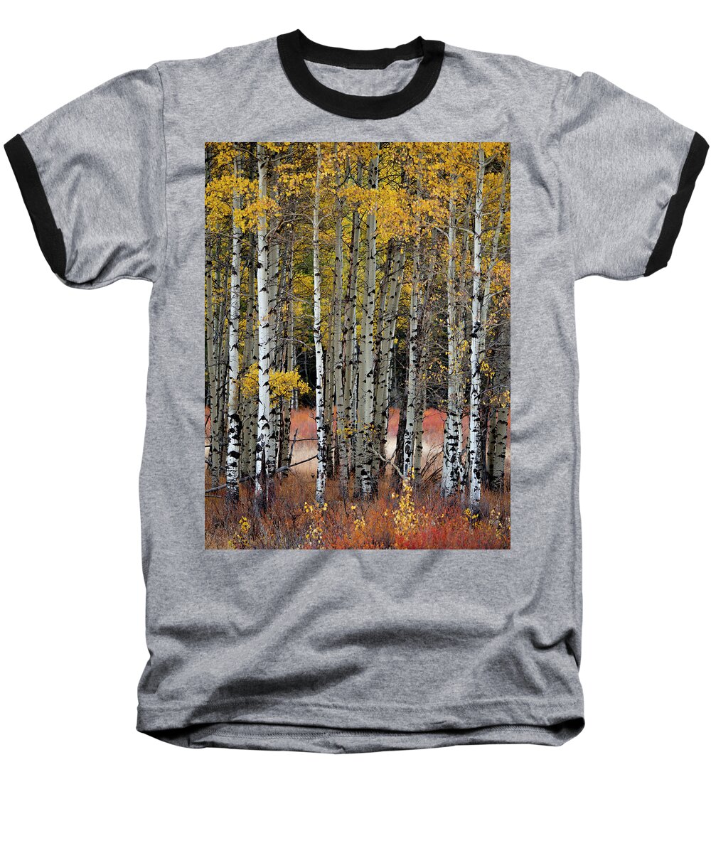 Aspens Baseball T-Shirt featuring the photograph Appreciation by Emily Dickey