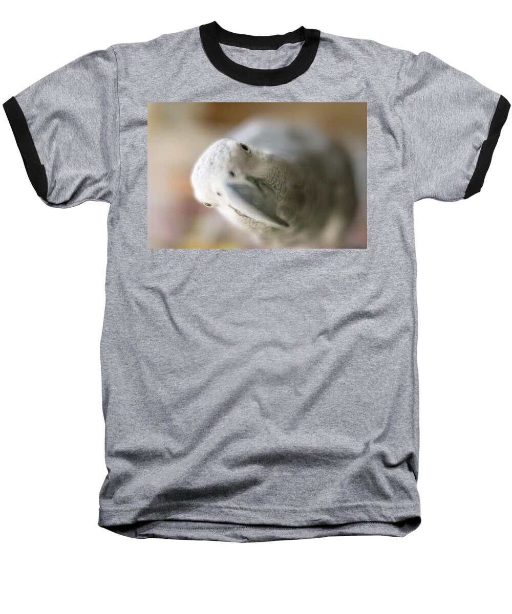 African Grey Baseball T-Shirt featuring the photograph Are You Looking AT Me by Jennifer Grossnickle