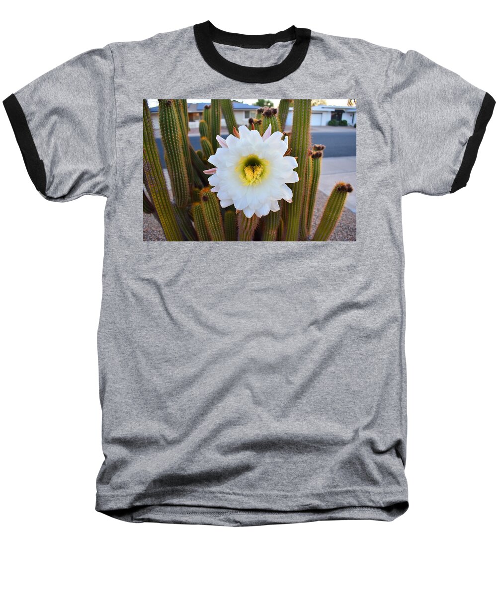 Argentine Baseball T-Shirt featuring the photograph Argentine Giant Flower 1 by Nina Kindred