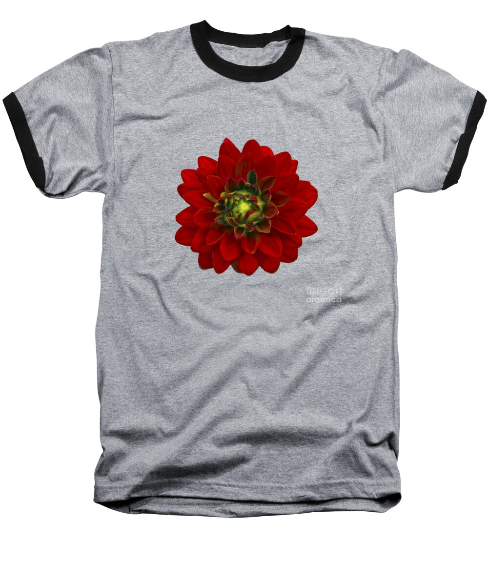 Dahlia Baseball T-Shirt featuring the photograph Red Dahlia by Michael Peychich