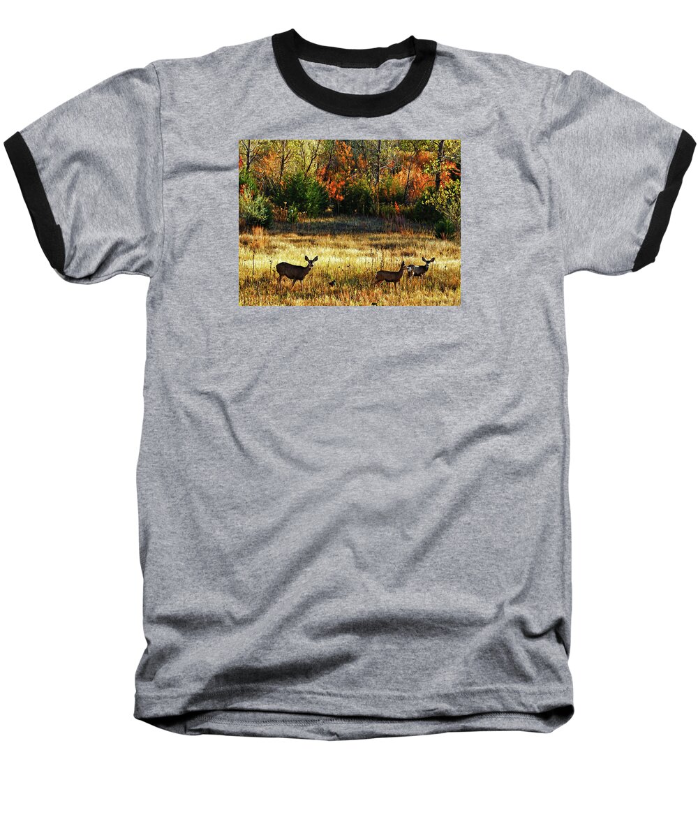 Bill Kesler Photography Baseball T-Shirt featuring the photograph Deer Autumn by Bill Kesler