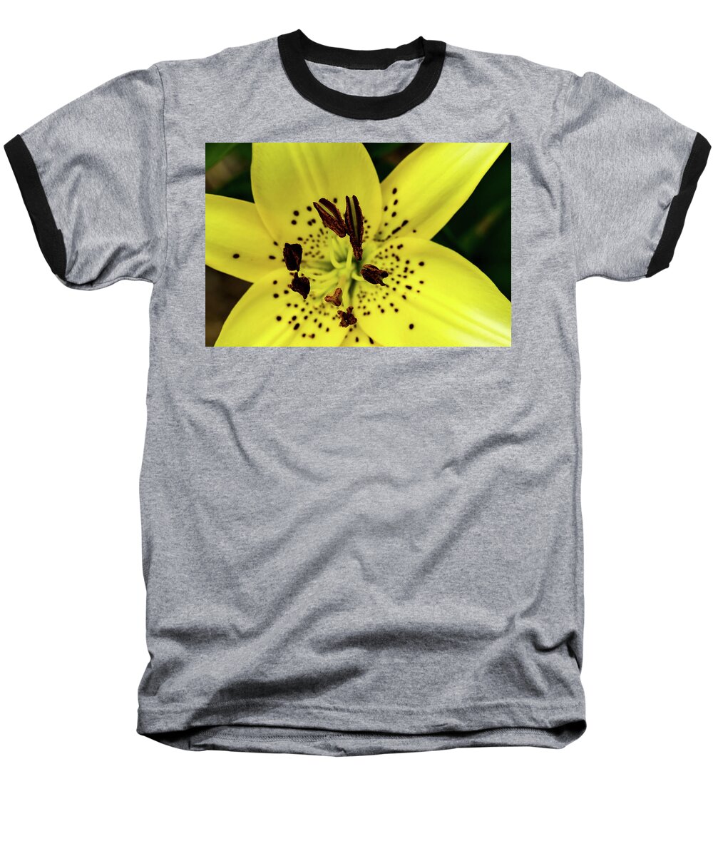 Jay Stockhaus Baseball T-Shirt featuring the photograph Asiatic Lily by Jay Stockhaus