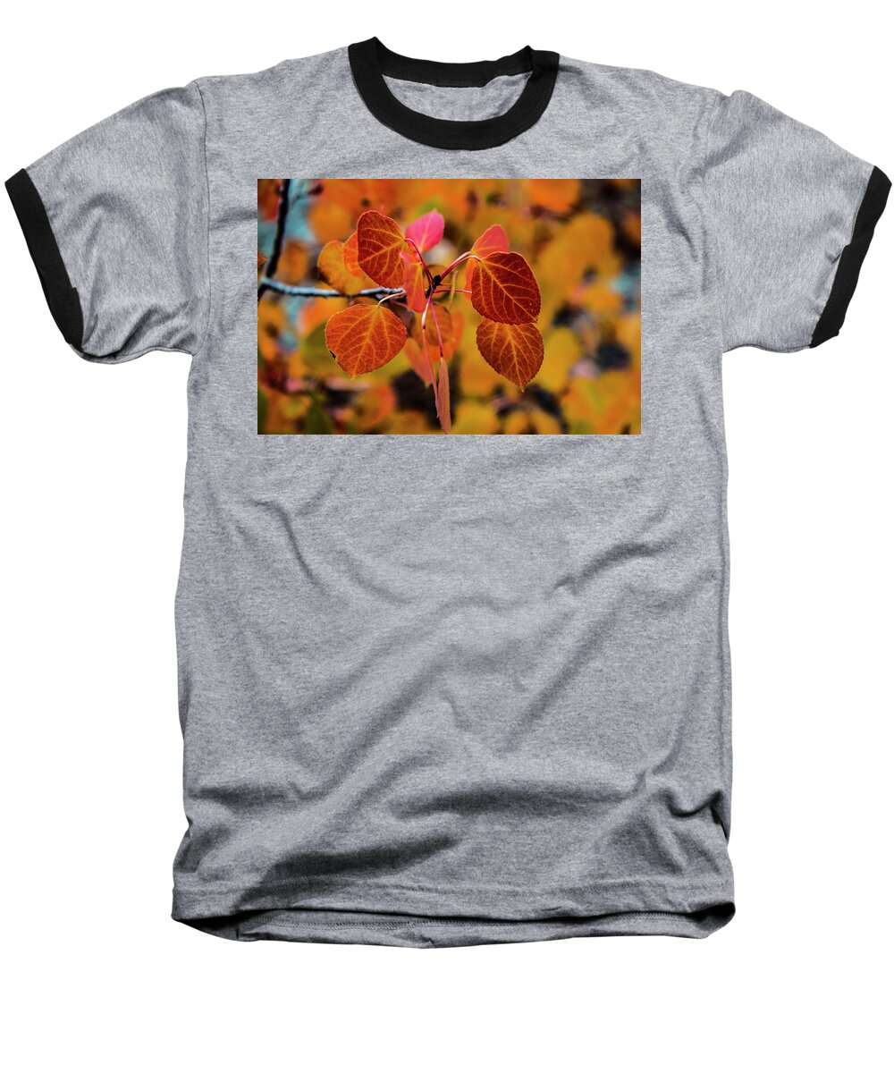 King's Canyon Baseball T-Shirt featuring the photograph Aspen Aflame by Doug Scrima
