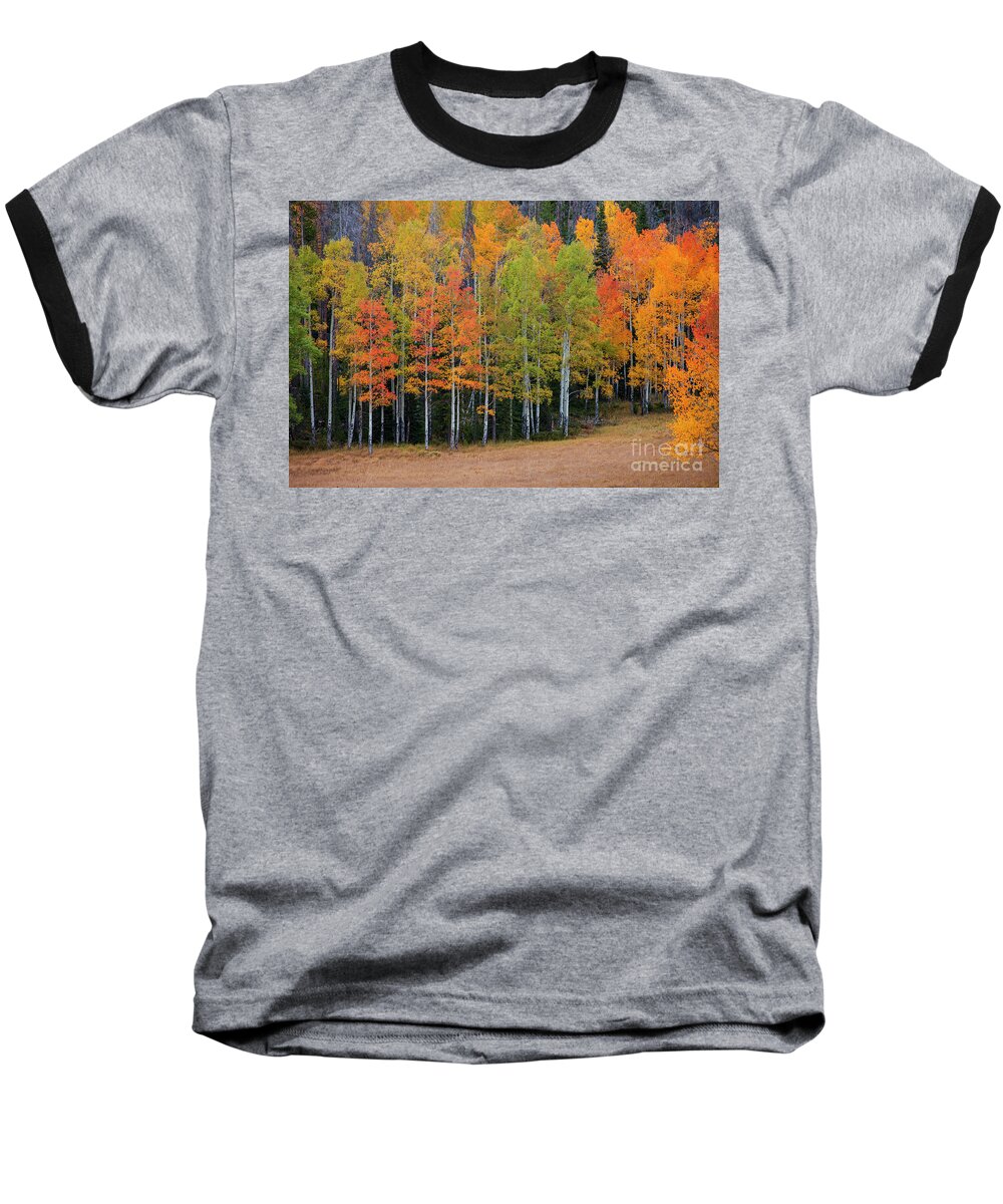 Aspen Baseball T-Shirt featuring the photograph Aspen Color by Timothy Johnson