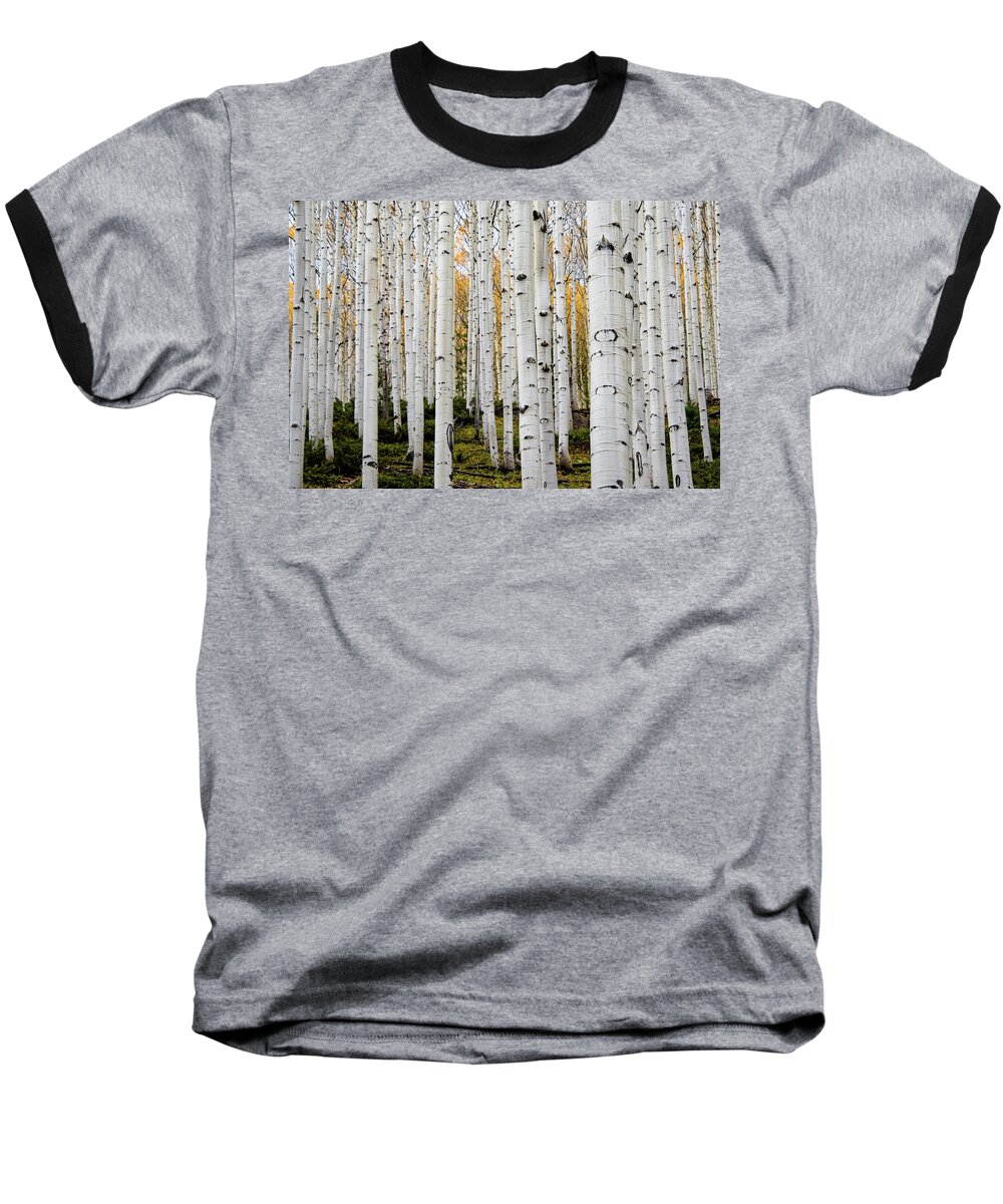 Aspen Baseball T-Shirt featuring the photograph Aspens And Gold by Stephen Holst