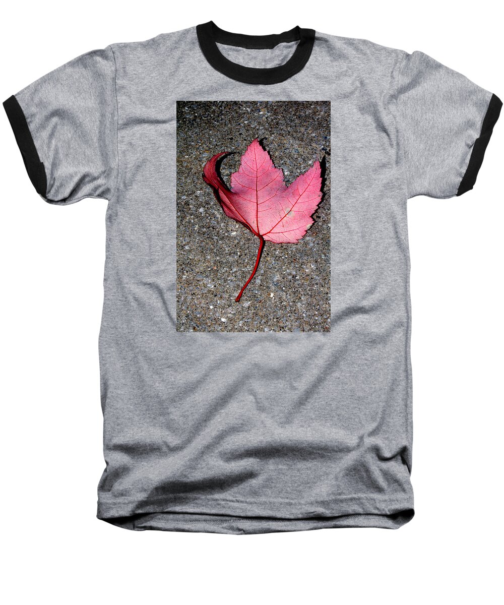 Nature Baseball T-Shirt featuring the photograph Autum Maple Leaf 2 by Robert Morin