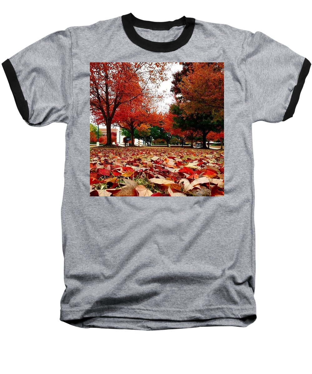 Autumn Baseball T-Shirt featuring the photograph Autumn Art by Gabrielle Coleman