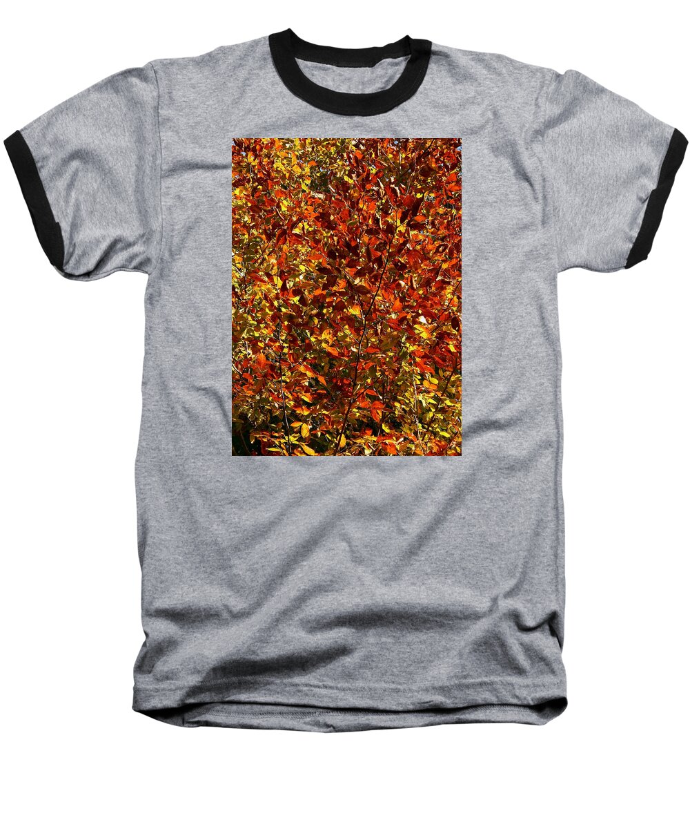 Color Baseball T-Shirt featuring the photograph Autumn Colors by Karen Harrison Brown