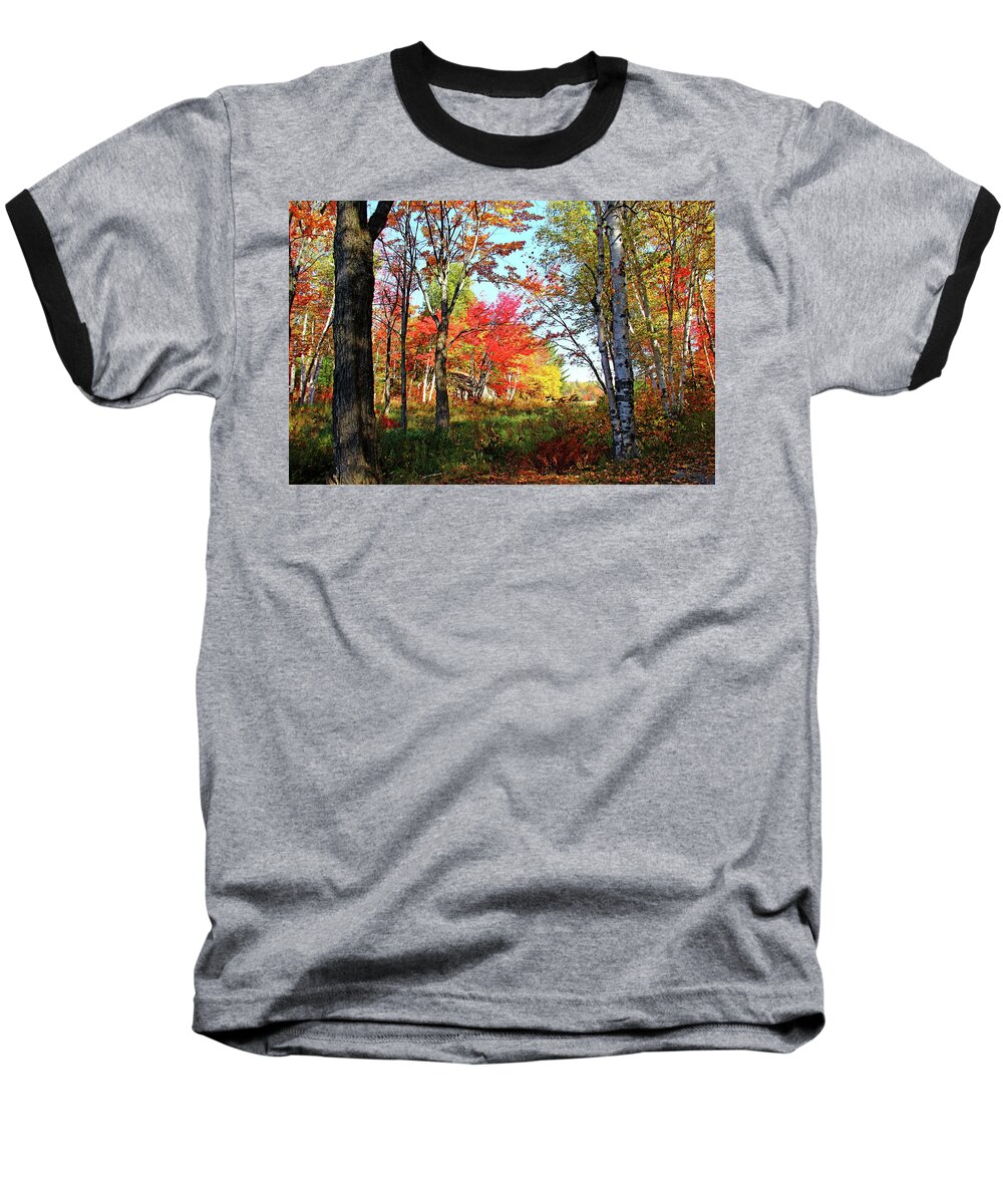 Killarney Provincial Park Baseball T-Shirt featuring the photograph Autumn Forest by Debbie Oppermann