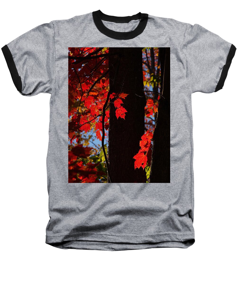 Nature Baseball T-Shirt featuring the photograph Autumn Glow by Dorothy Lee