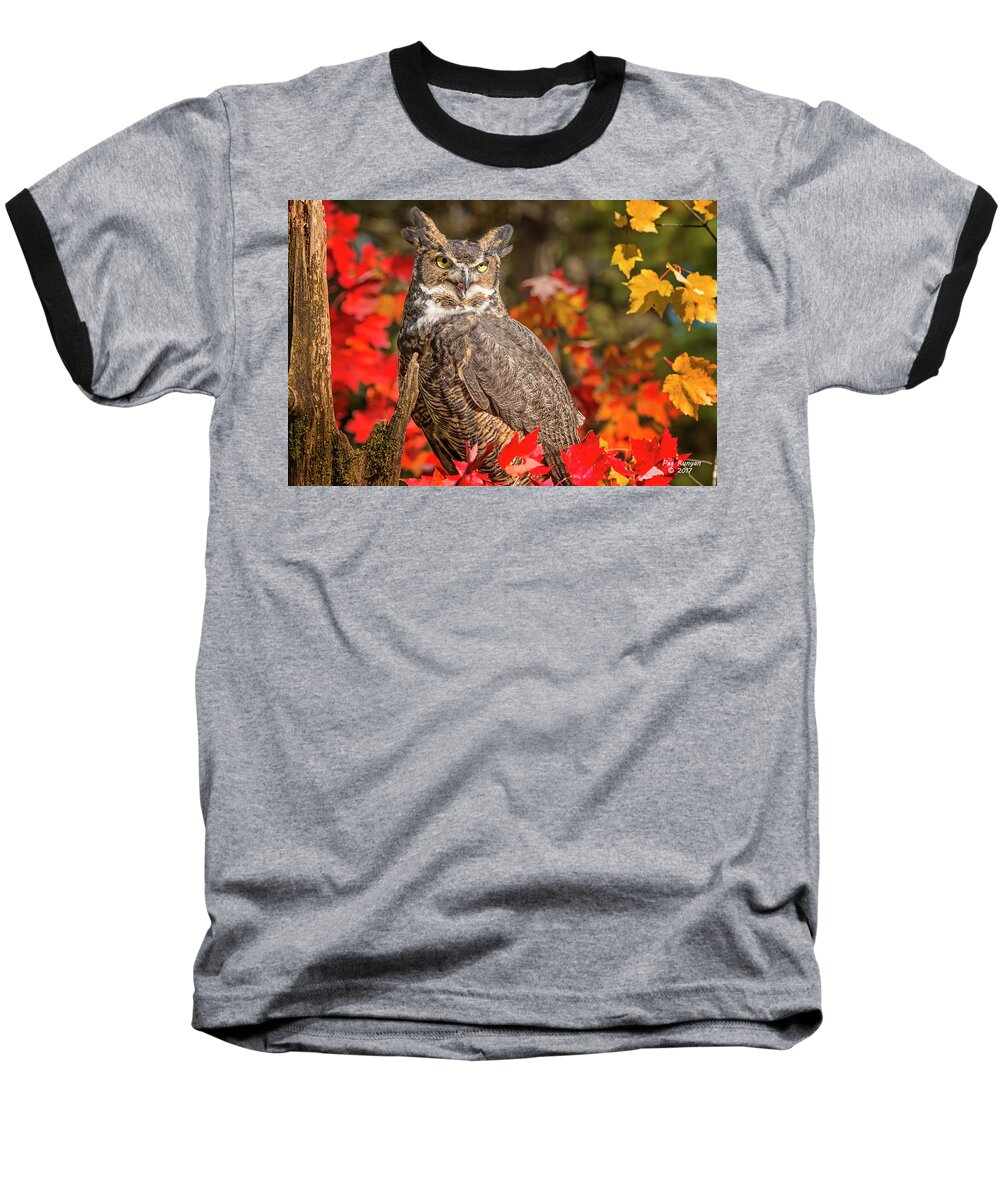 Owl Baseball T-Shirt featuring the photograph Autumn Owl by Peg Runyan