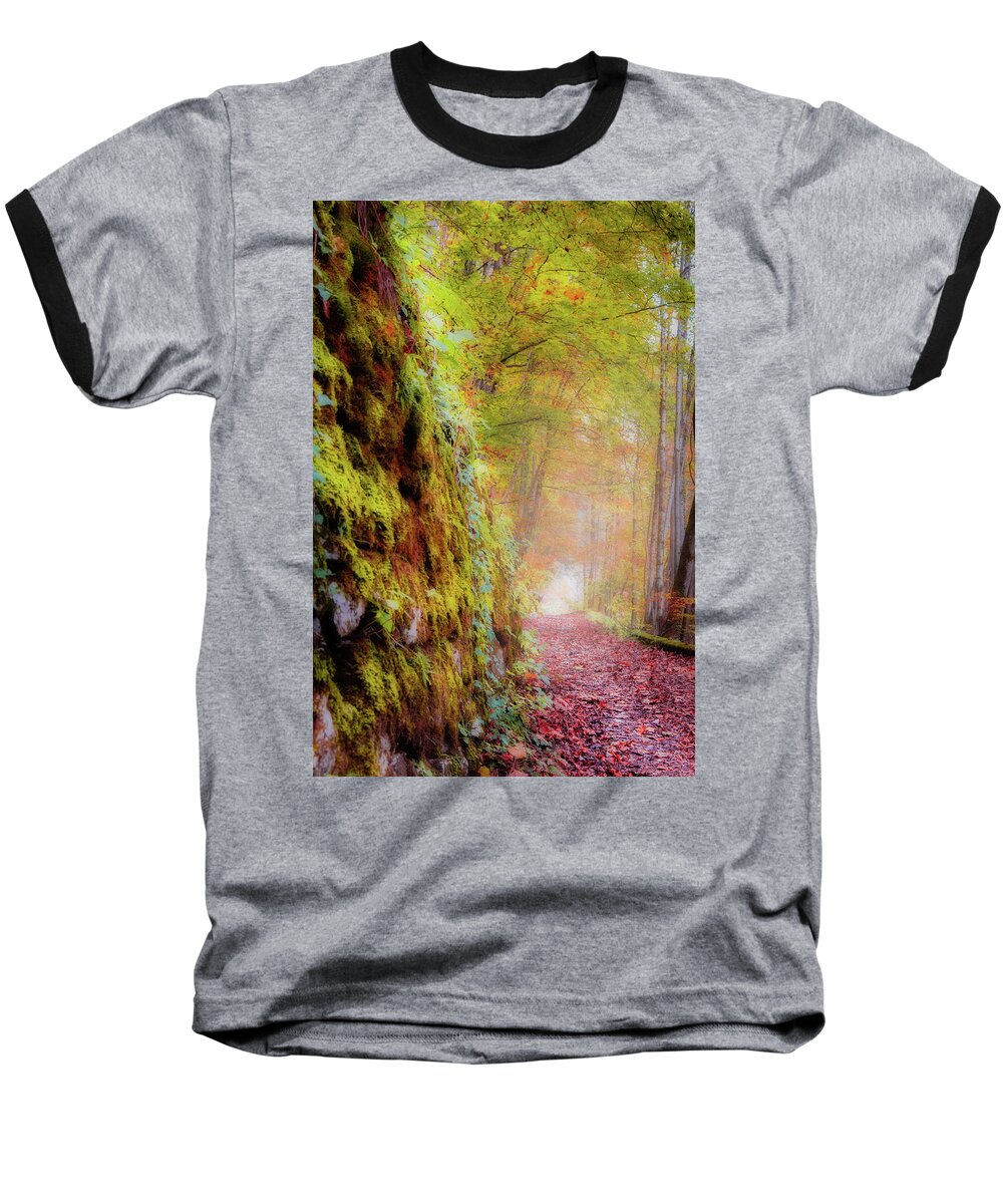 Autumn Baseball T-Shirt featuring the photograph Autumn Path by Geoff Smith