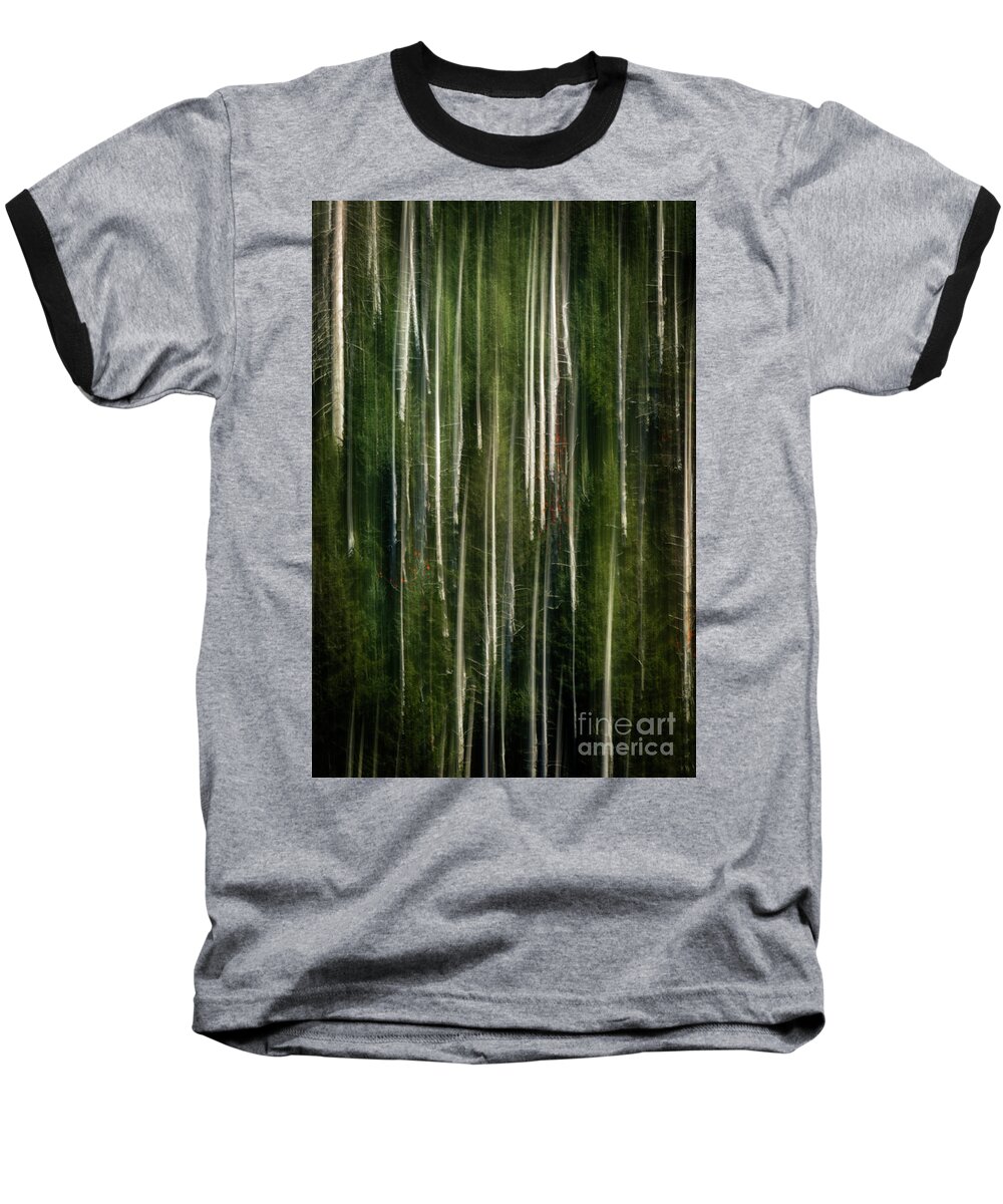 Autumn Baseball T-Shirt featuring the photograph Autumn Pines by Doug Sturgess
