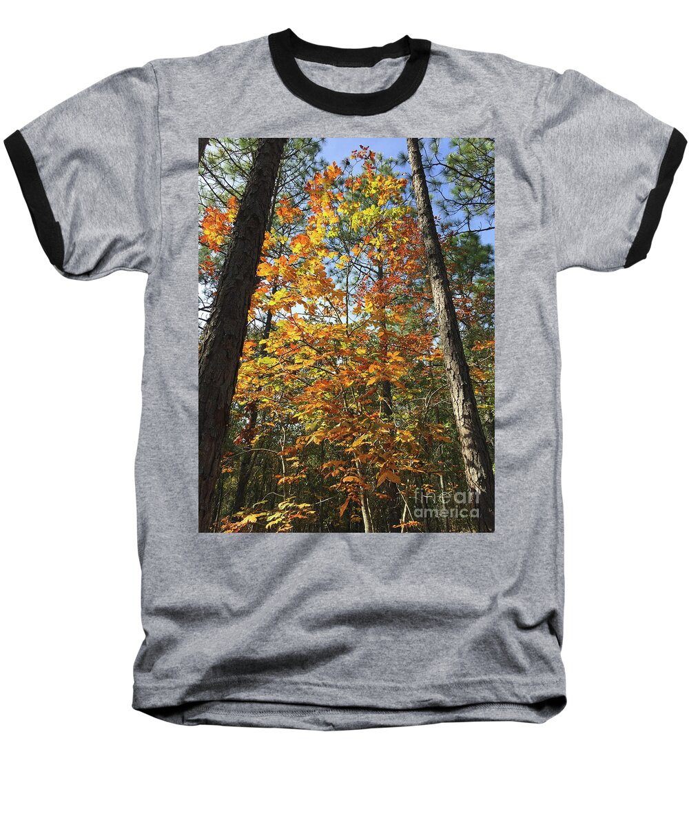 Autumn Baseball T-Shirt featuring the photograph Autumn Sunday by Matthew Seufer