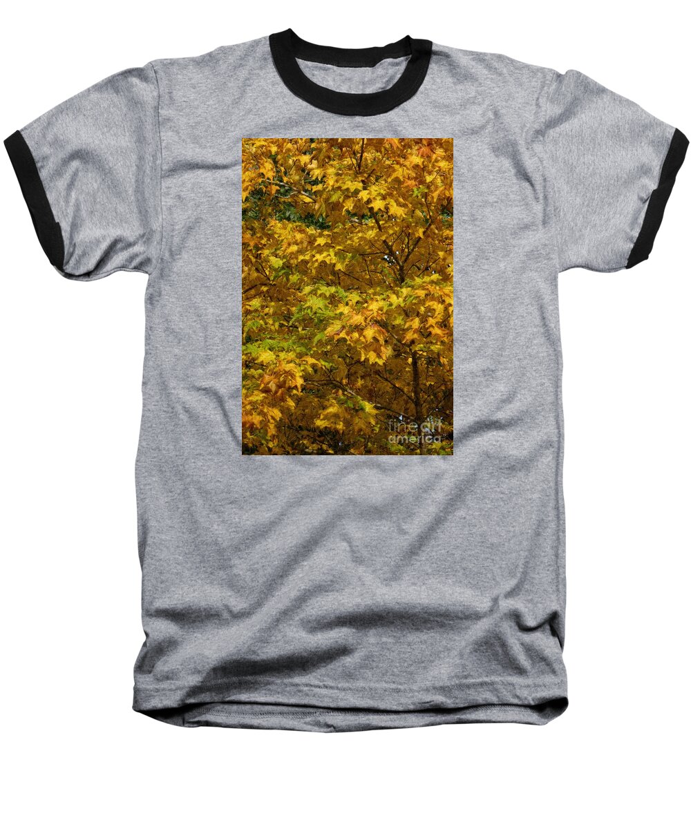 Autumn Baseball T-Shirt featuring the photograph Autumnal Leaves and Trees 2 by Jean Bernard Roussilhe