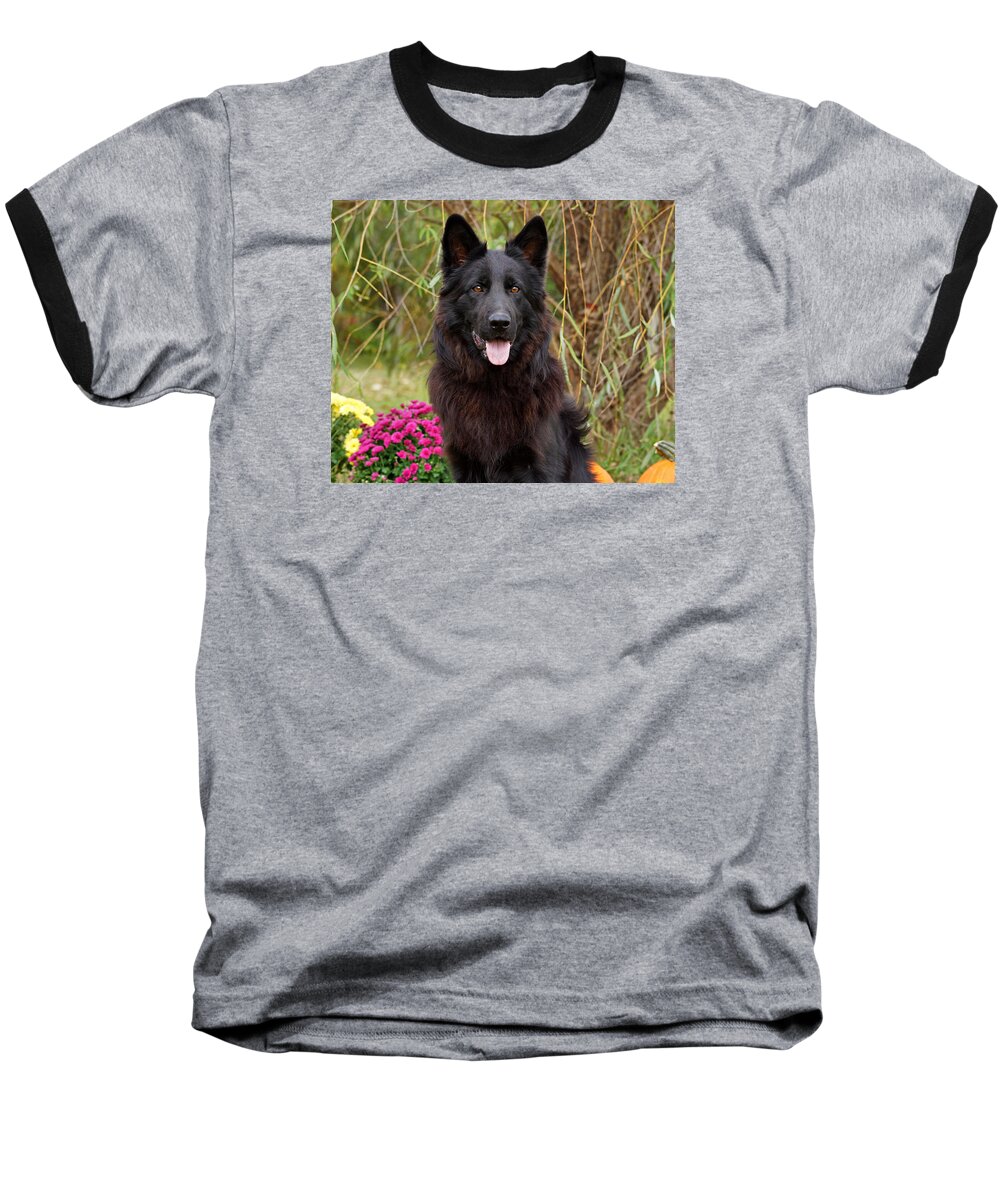 Black German Shepherd Baseball T-Shirt featuring the photograph Aziza by Sandy Keeton