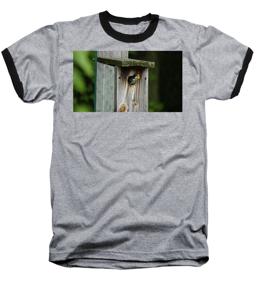  Baseball T-Shirt featuring the photograph Baby Bird by Jessie Henry