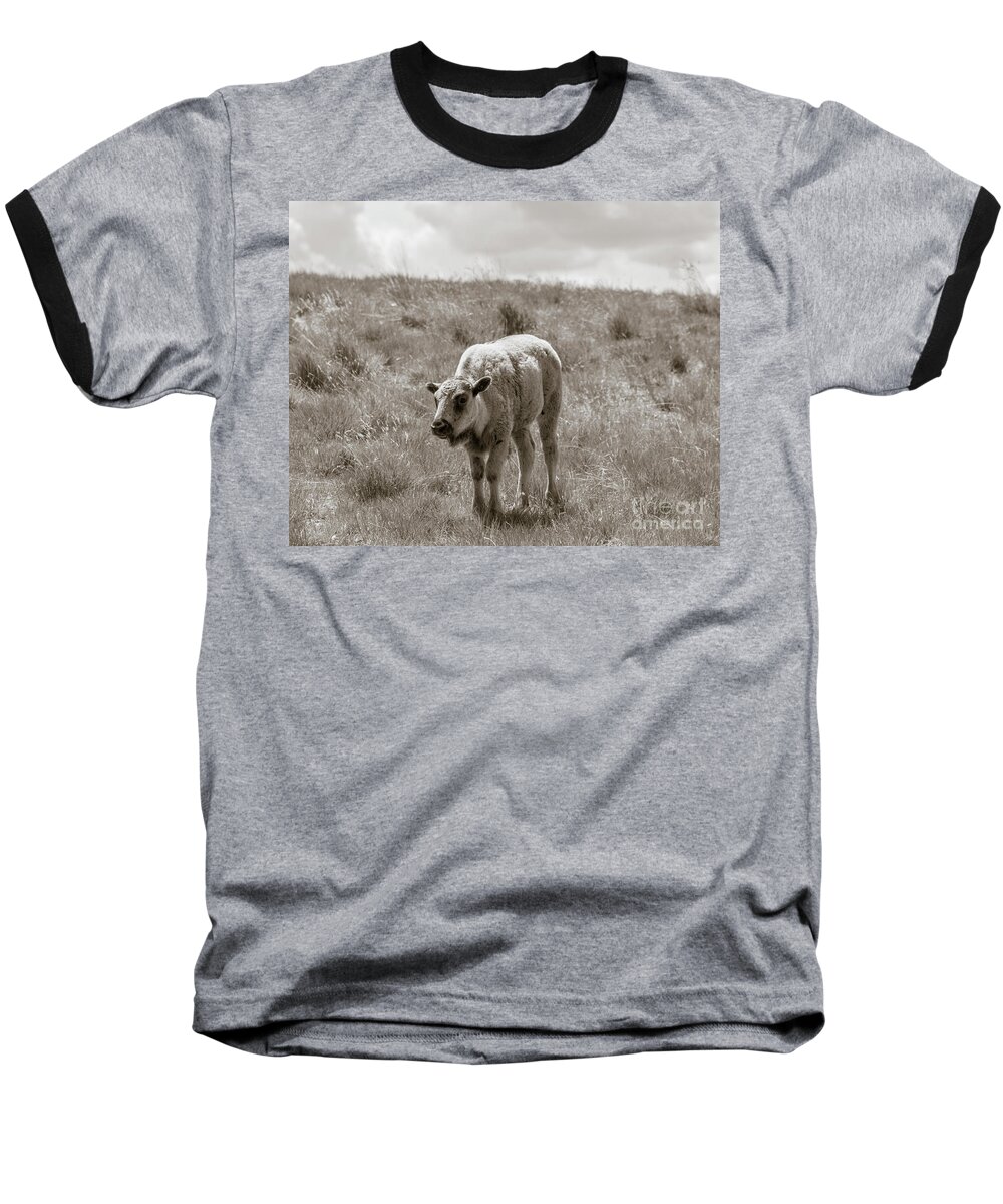 Buffalo Baseball T-Shirt featuring the photograph Baby buffalo in field with sky by Rebecca Margraf