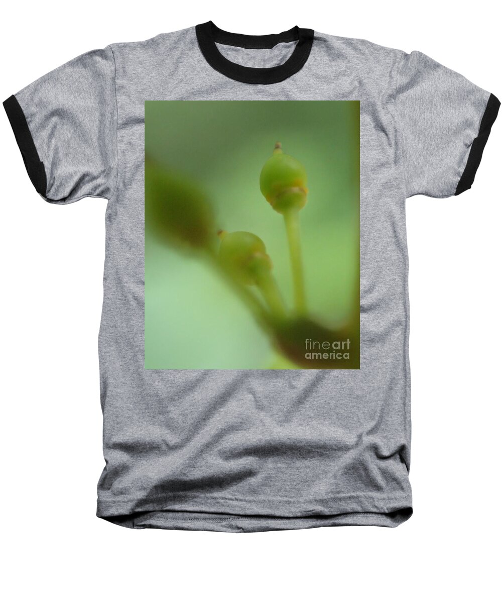 Nature Baseball T-Shirt featuring the photograph Baby Grapes by Christina Verdgeline