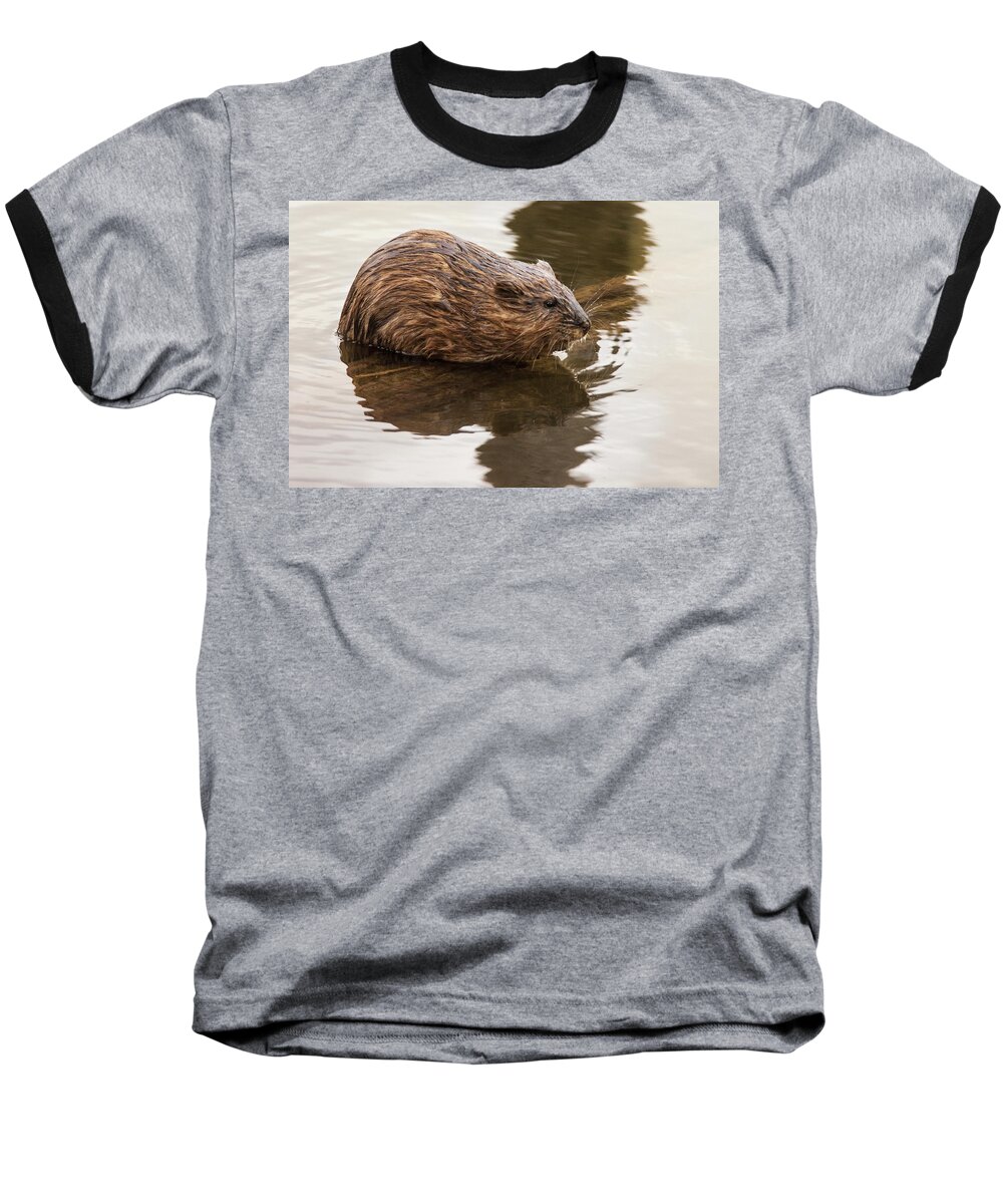 Baby Baseball T-Shirt featuring the photograph Baby Muskrat by Geraldine DeBoer