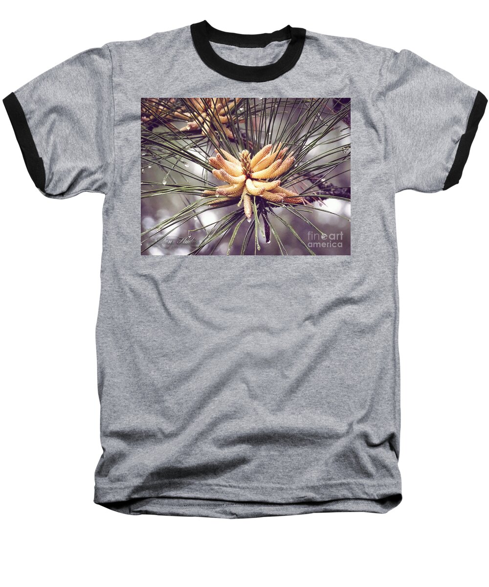  Baseball T-Shirt featuring the photograph Baby Pine Cones by Melissa Messick