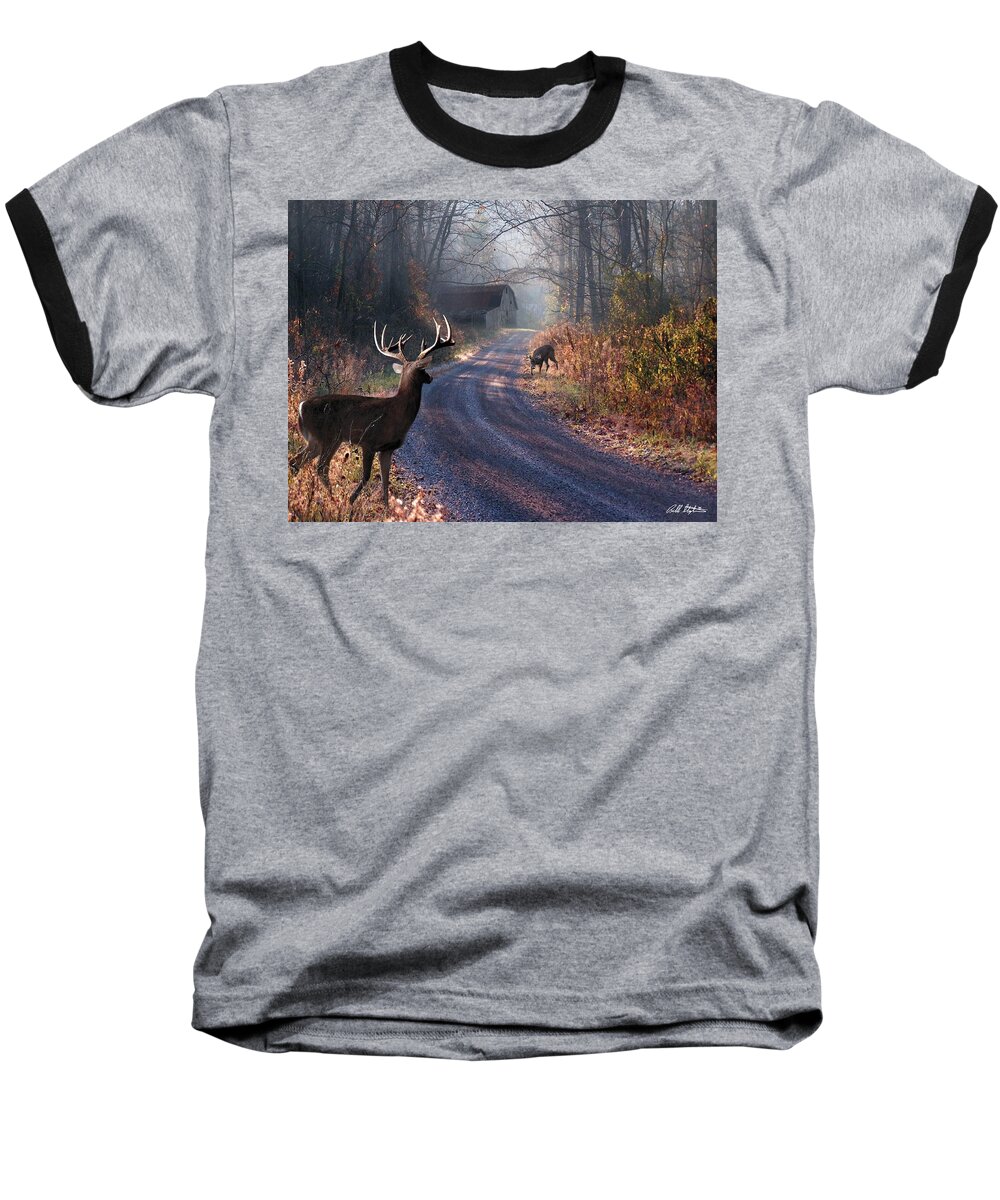 Deer Baseball T-Shirt featuring the digital art Back Home by Bill Stephens