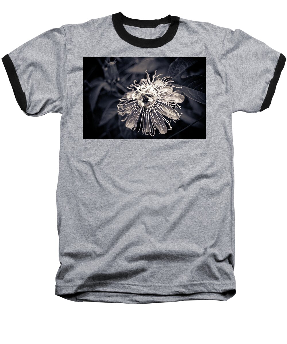 Clematis Baseball T-Shirt featuring the photograph Clematis Flower Bloom by Amber Flowers