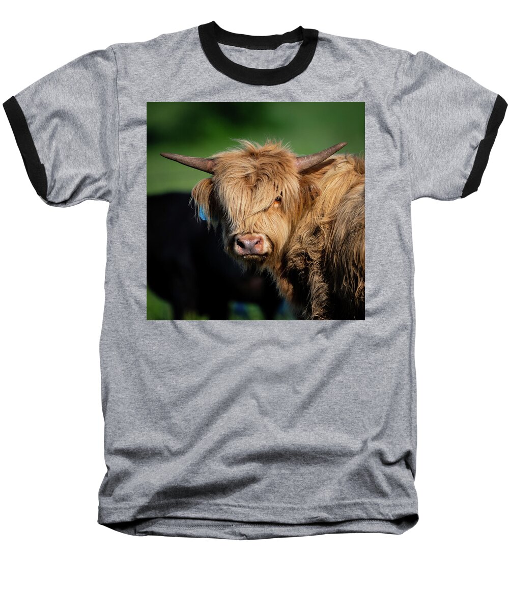 Lyon County Baseball T-Shirt featuring the photograph Bad Hair Day by Jeff Phillippi