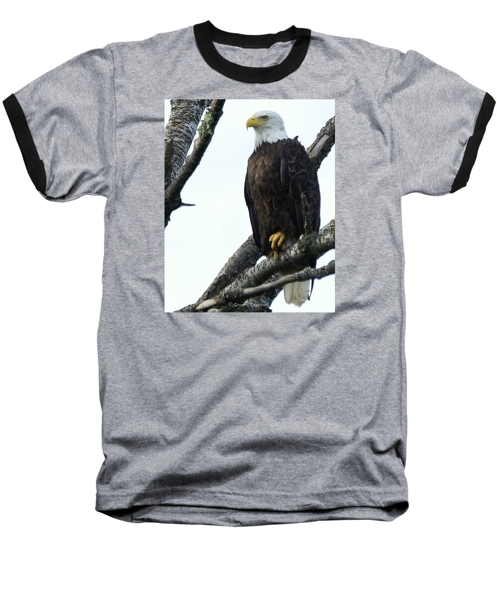 Bird Baseball T-Shirt featuring the photograph Bald Eagle 4 by Steven Clipperton
