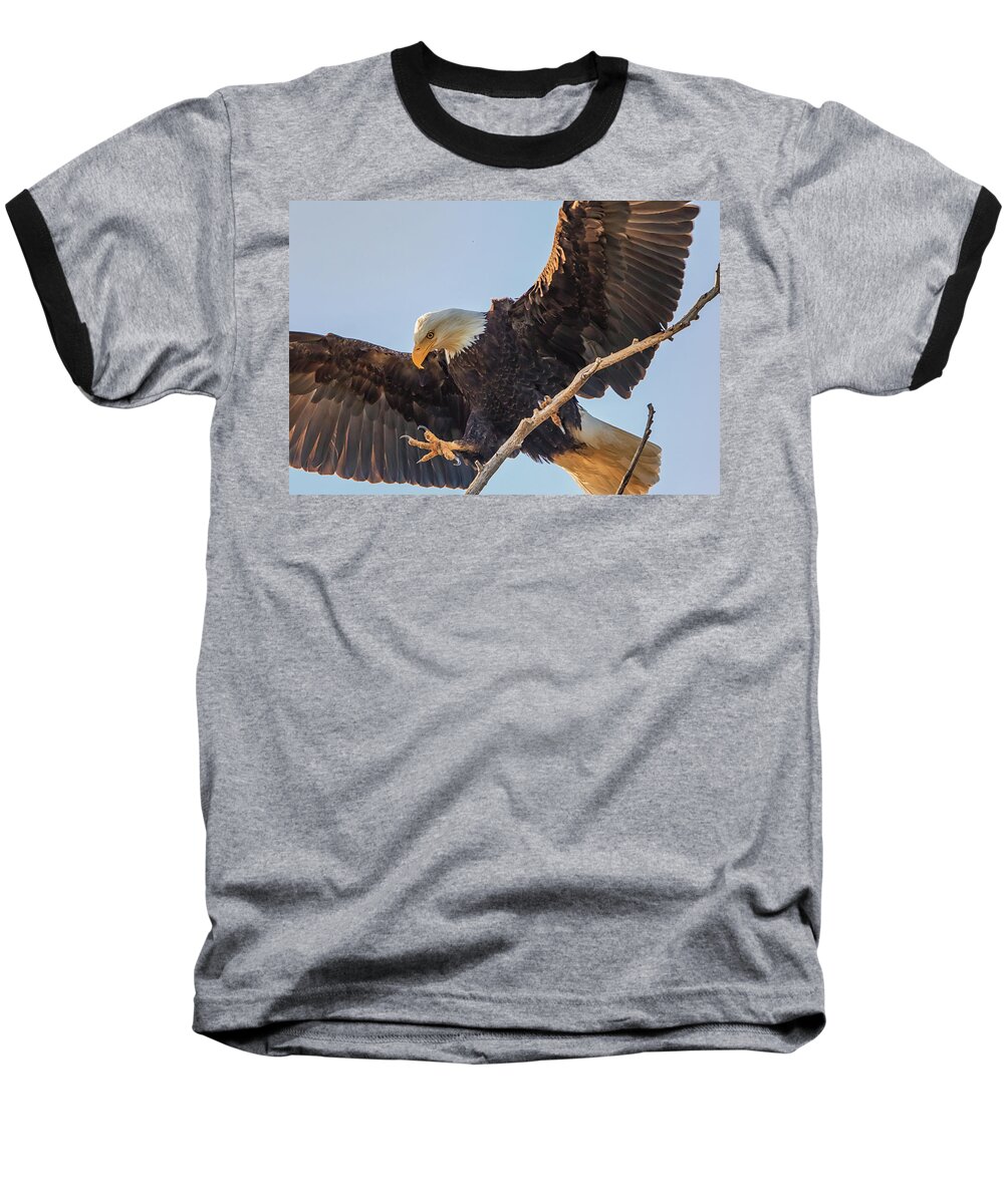 California Baseball T-Shirt featuring the photograph Bald Eagle Landing by Marc Crumpler