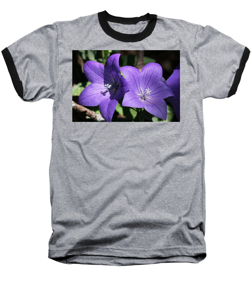 Nature Baseball T-Shirt featuring the photograph Balloon Flowers by Sheila Brown