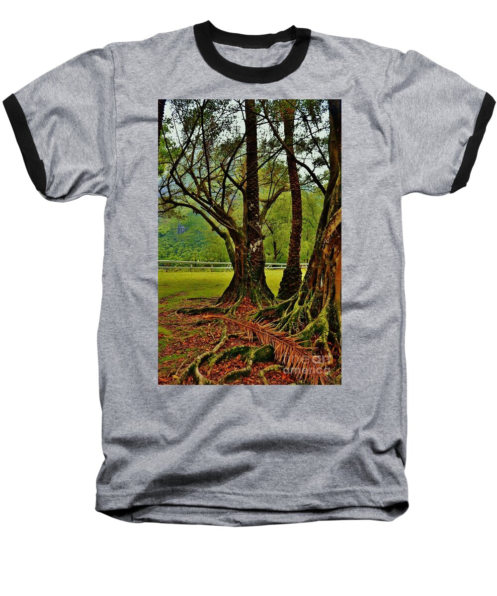 Banyan Tree Baseball T-Shirt featuring the photograph Banyan Tree and Date Palm by Craig Wood