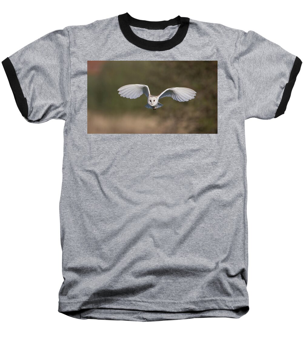Barn Owl Baseball T-Shirt featuring the photograph Barn Owl Approaching by Pete Walkden