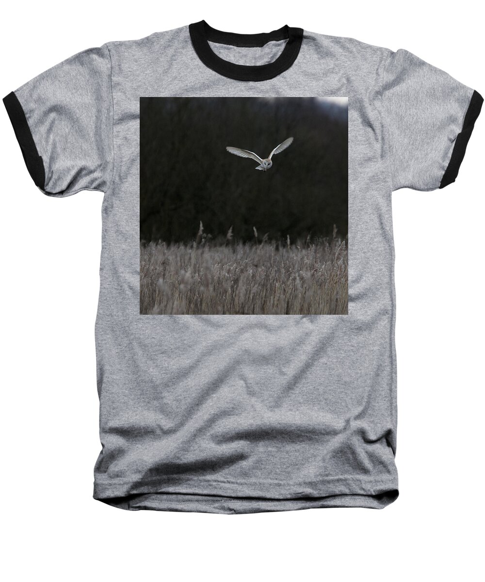 Barn Baseball T-Shirt featuring the photograph Barn Owl hunting at dusk by Tony Mills