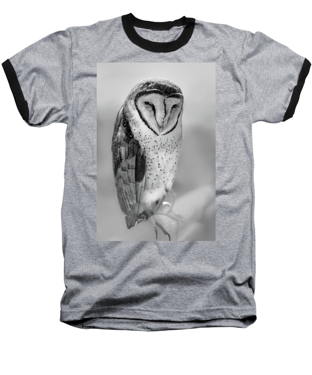 Nature Baseball T-Shirt featuring the photograph Barn Owl II by Robert Mitchell