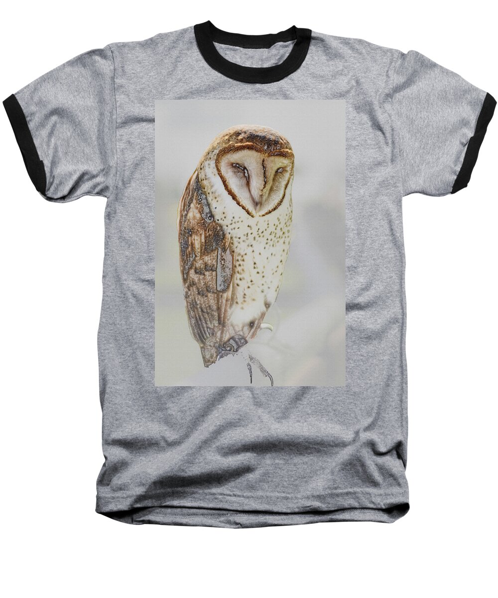 Barn Owl Baseball T-Shirt featuring the photograph Barn Owl by Robert Mitchell