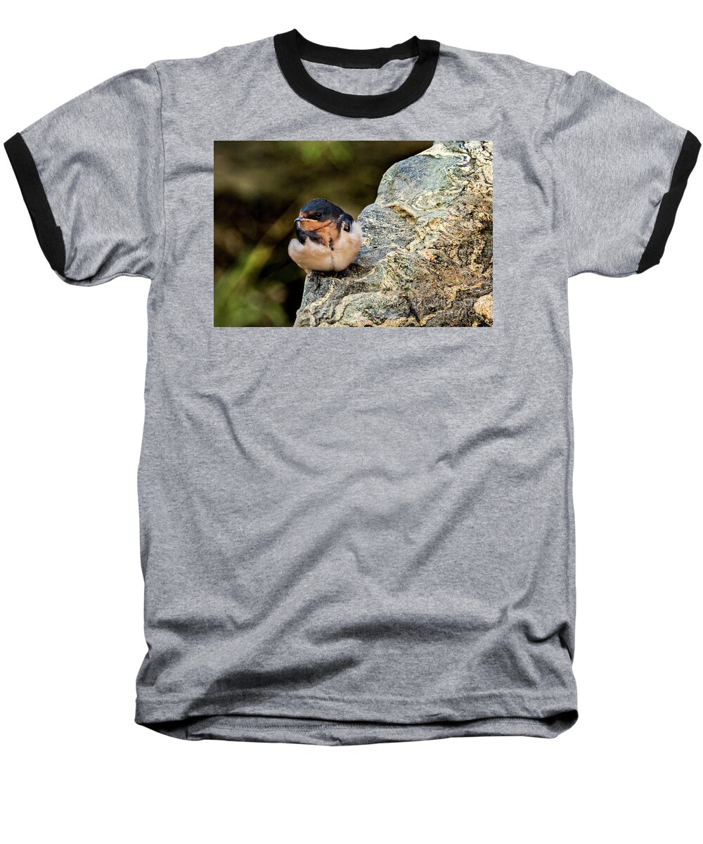 Tree Swallow Baseball T-Shirt featuring the photograph Tree Swallow by Jim Gillen